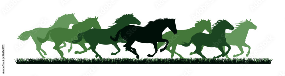 custom made wallpaper toronto digitalHerd of horses gallops fast. Image silhouette. Wild and domestic animals. Isolated on white background. Vector