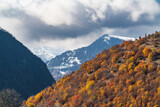 Mountain autumn forest and snow on the peaks