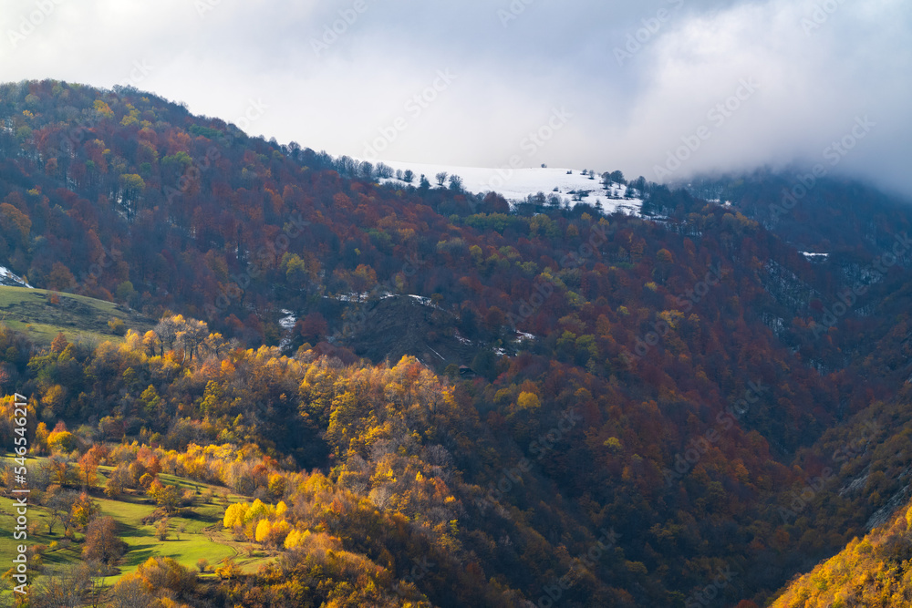 Yellow autumn trees on a mountain slope