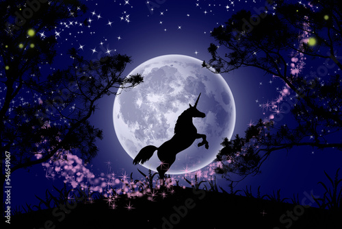 unicorn in the night background