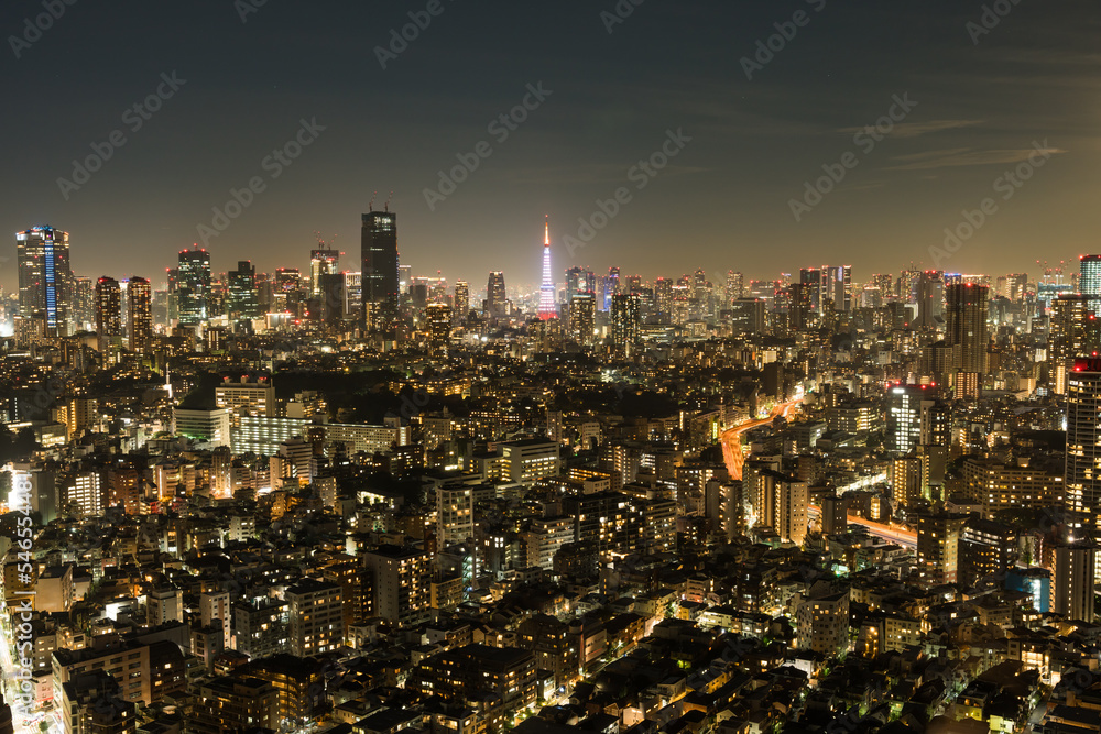 Obraz premium 東京の夜景と東京タワー