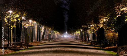 Parco pubblico di notte photo