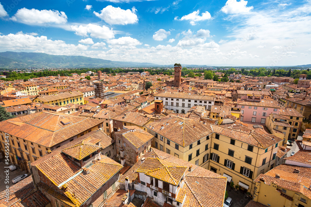 Wide angle city view with tree on tower (Torre Guinigi) in the city Lucca, Tuscany, Italy