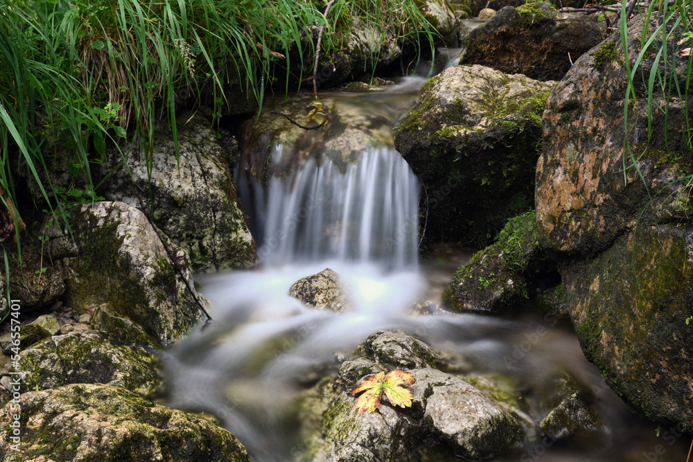 Mountain stream. Mountain landscape scene. Mountain stream. Mountain landscape scene.
