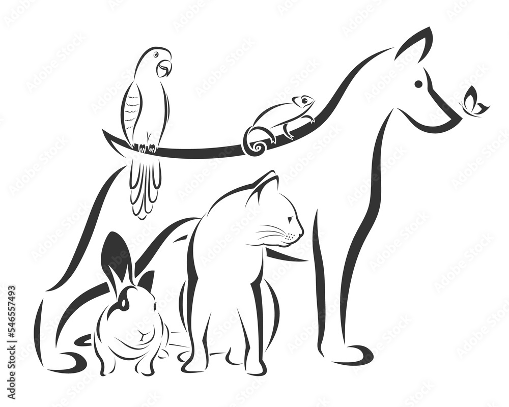 Vector group of pets - Dog, Cat, Parrot, Rabbit, Butterfly, Hummingbird, Chameleon, isolated on transparent background. Animals. Vector group of pets - Dog, Cat, Parrot, Rabbit, Butterfly, Hummingbird, Chameleon, isolated on transparent background. Animals.