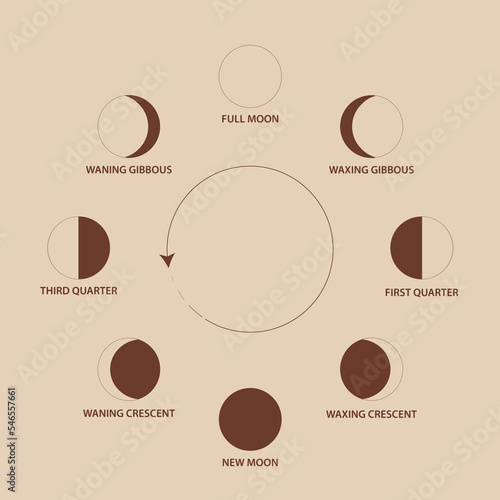 Phases of the moon, vector illustration, text