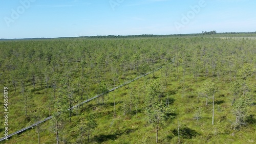 Alam-Pedja Reservaat  largest nature reserve in Estonia  Aerial 
