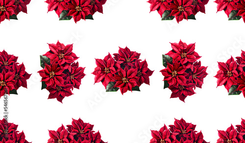 Christmas flower pattern isolated illustration pattern background.nature fabric flower textile banner background.decoration floral poinsettia red flower.holiday pattern texture.decorative gift wrap.