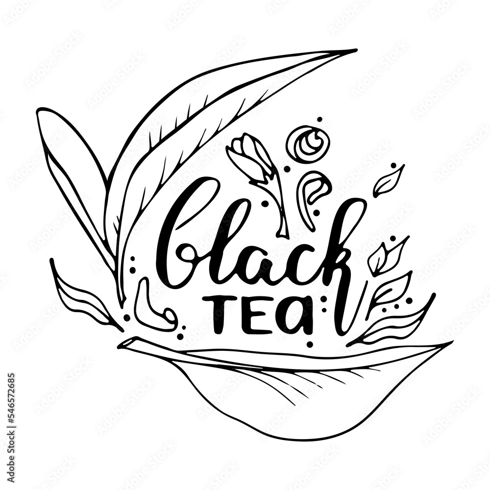 handwritten typography poster with drinks phrase in it. Vector calligraphy quote with black tea ceremony. Hand drawn doodle ink on white isolated background. handwritten typography poster with drinks phrase in it. Vector calligraphy quote with black tea ceremony. Hand drawn doodle ink on white isolated background.