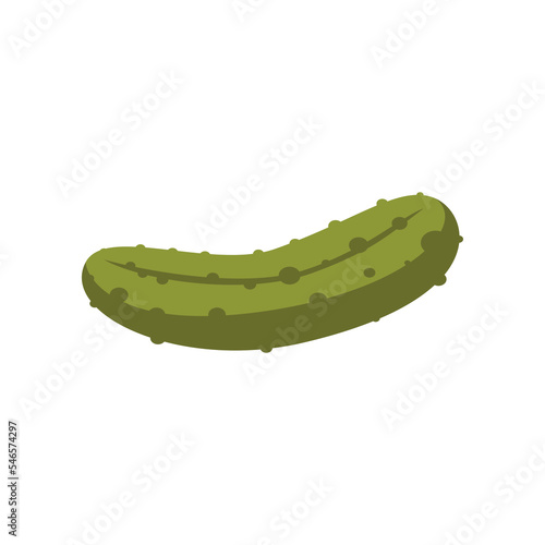 Pickle cartoon illustration. Pickle. Canning, conserve, grocery, tinned or preserved food concept