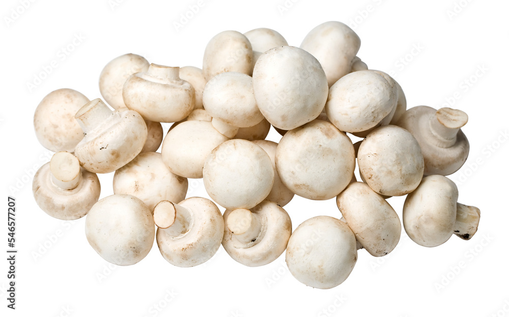 Champignon mushrooms