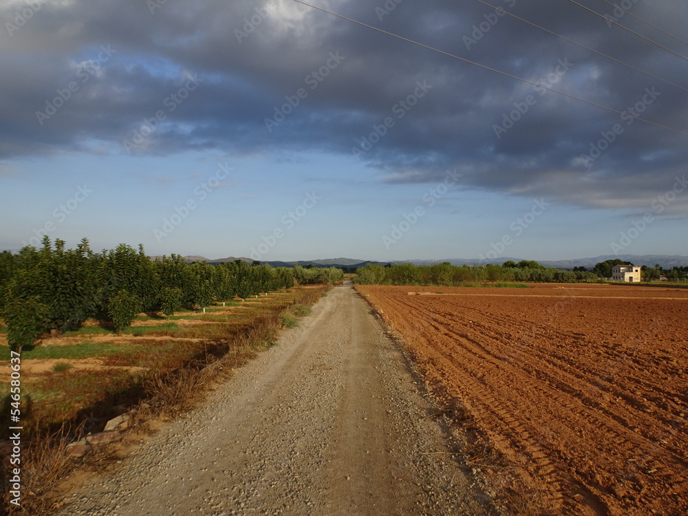 Spanish Country Road Landscape, Valencia