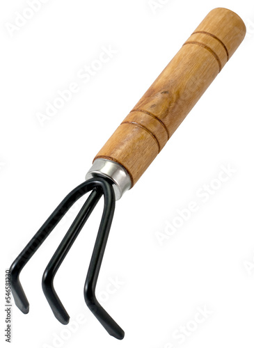 Rake, The garden tool.