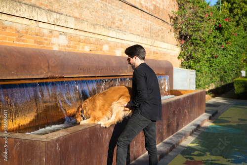 A handsome young man with a beard and glasses puts his brown golden retriever dog in a city fountain to bathe because of the high temperatures. Concept pets, animals, dogs, pet love, climate change.