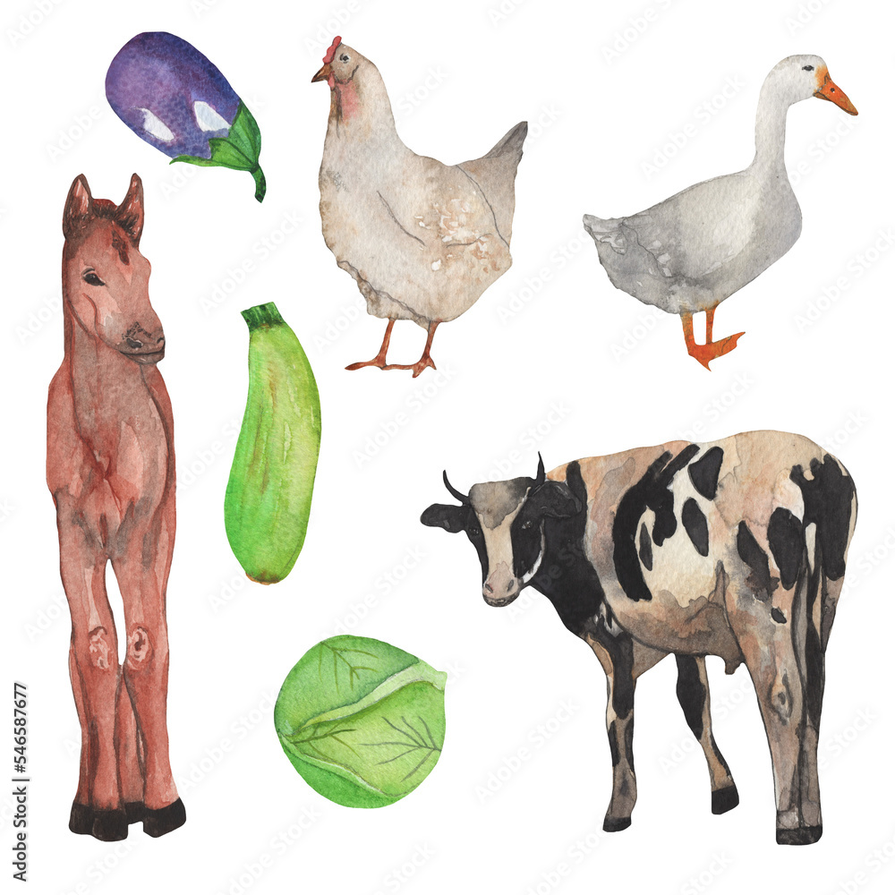 Horse chicken cow duck zucchini blue cabbage element.Watercolor set of elements on white background.