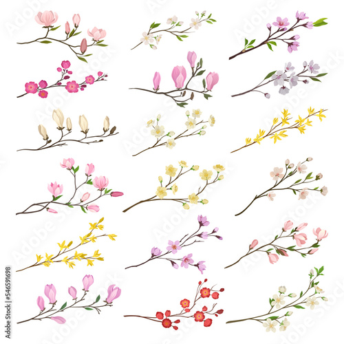 Blooming branches of trees set. Cherry, apple, jasmine blossoming twigs cartoon vector