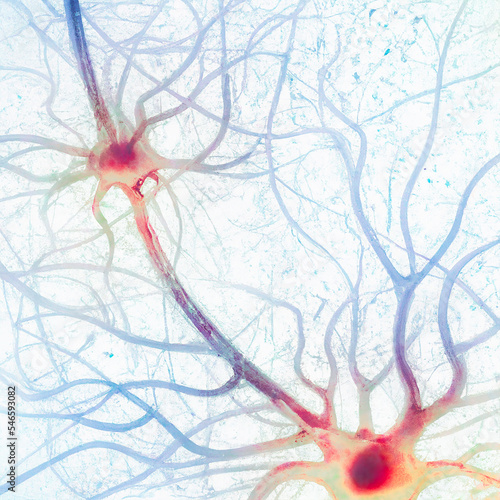 Obraz na plátně Synaptic transmission is the process by which one neuron communicates with another