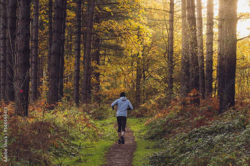 Man trail running in Sherwood Forest - England. Man trail running in Sherwood Forest - England.