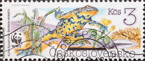 CZECHOSLOVAKIA - CIRCA 1989: a postage stamp from Czechoslovakia, showing a Yellow-bellied Toad (Bombina variegata). Circa 1989