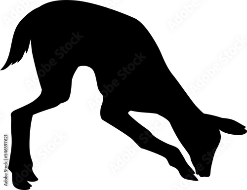 Deer Animal Silhouette