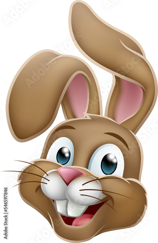 Cartoon Easter Bunny Rabbit