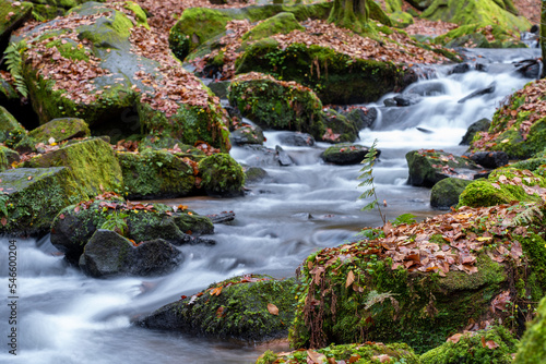 Karlstalschlucht in der Pfalz photo