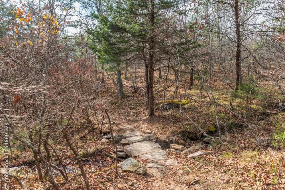 Natural stone bridge in the forest Natural stone bridge in the forest