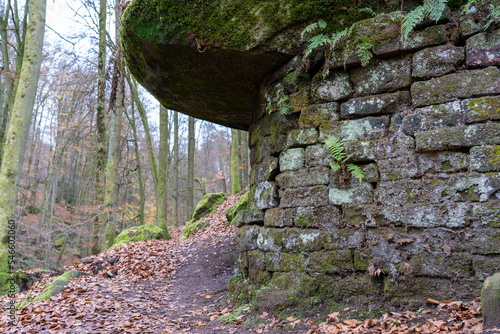 Karlstalschlucht im Herbst in der Pfalz photo