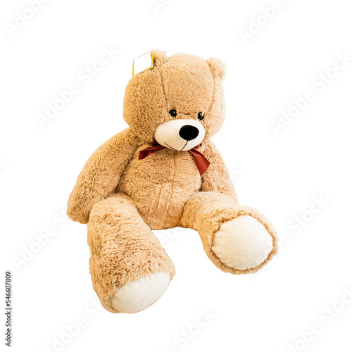 bear plush toy with price tag on ear isolated on white background