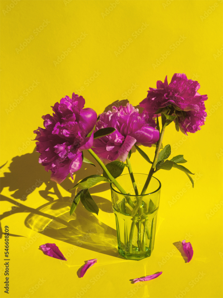 Bouquet of pink peony flowers in glass water and pink petals on yellow background. Purple spring roses. Minimal flowers concept. Layout, greeting card, copy space, vertical. Minimal purple peony. Bouquet of pink peony flowers in glass water and pink petals on yellow background. Purple spring roses. Minimal flowers concept. Layout, greeting card, copy space, vertical. Minimal purple peony.