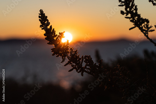 Sunset - Naxos GREECE 1