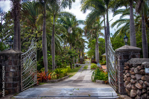 Nevis - Saint Kitts and Nevis
