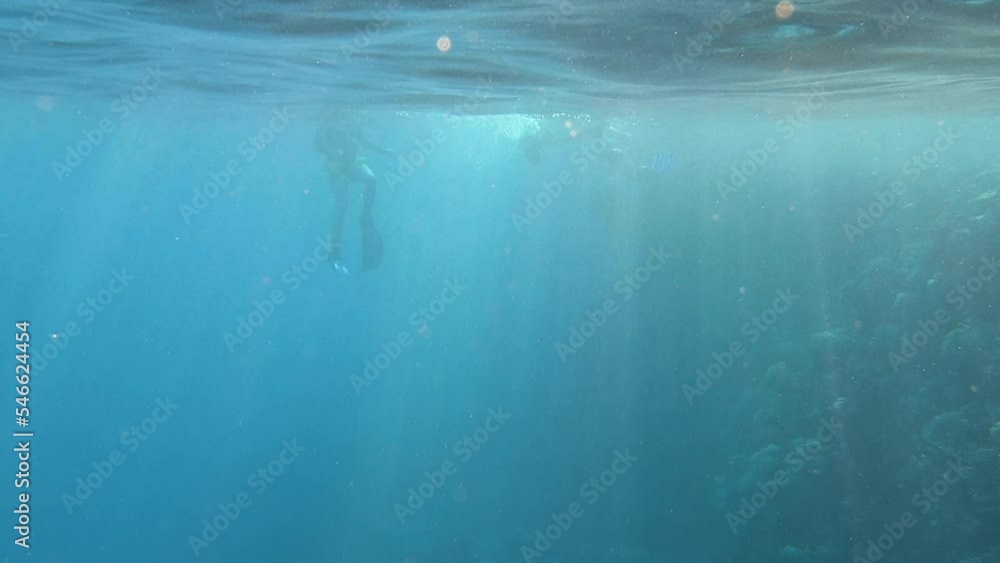 Divers diving next to the the coral barrier. Swimming and snorkelling ...