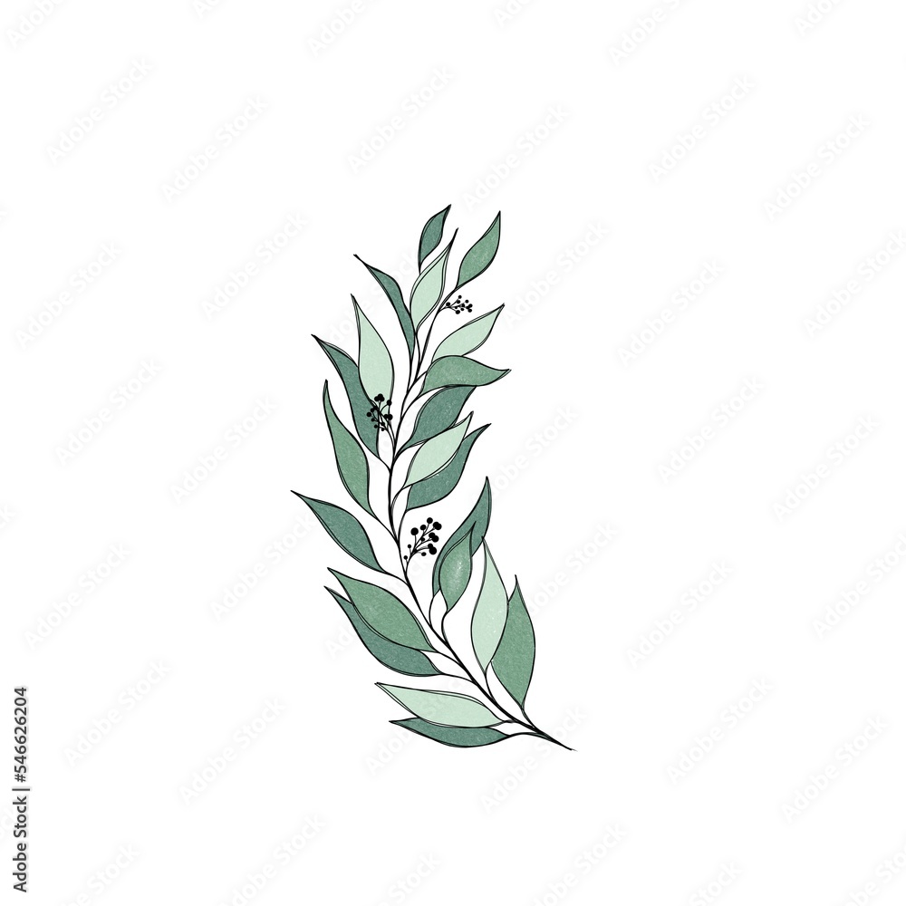 Big Set watercolor elements - wildflower, herbs, leaf. collection garden, wild foliage, flowers, branches. illustration isolated on white background, eucalyptus, exotic, tropical leaf. Green. Big Set watercolor elements - wildflower, herbs, leaf. collection garden, wild foliage, flowers, branches. illustration isolated on white background, eucalyptus, exotic, tropical leaf. Green.