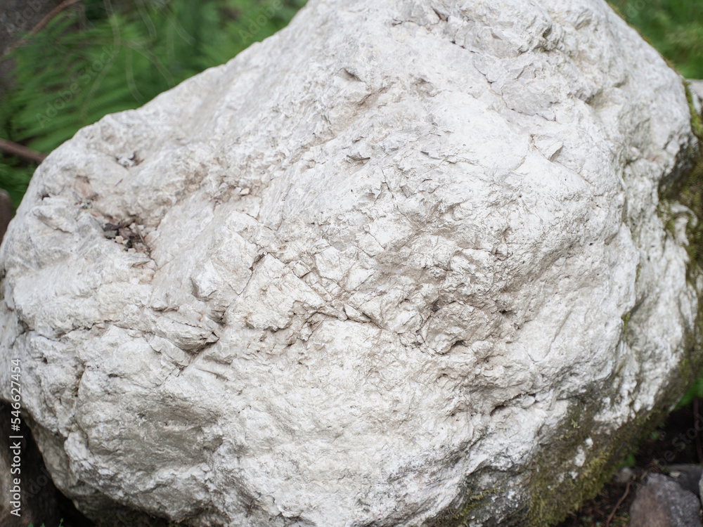 Naklejka premium Granite white and grey rock as background. Green grass. Selective focus