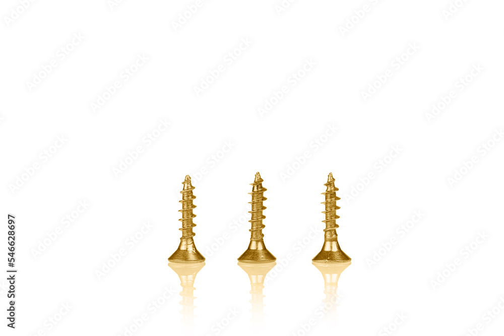 macro screw of golden color on a white background macro screw of golden color on a white background