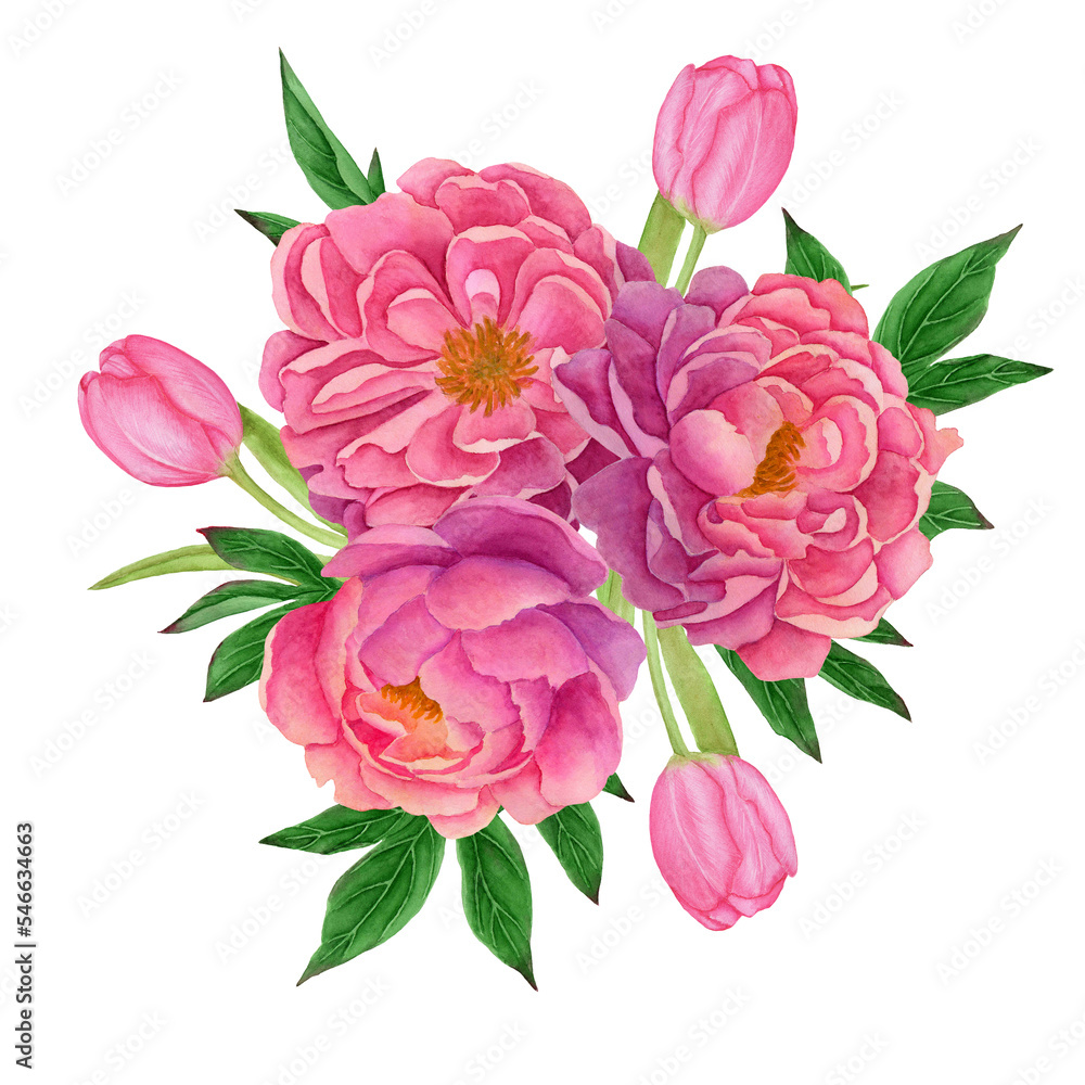 composition with peony flowers and eucalyptus leaves. composition with peony flowers and eucalyptus leaves.