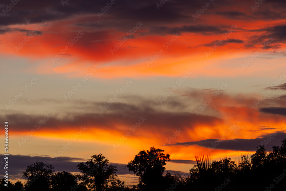 blue-red sky at sunset, clouds,
blue-red sky at sunset, clouds,