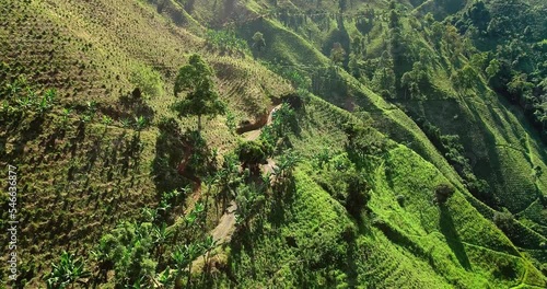 Amazing view of tourist attracting beautiful coffee farms in Colombia. photo