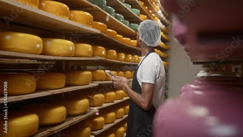 African American cheese factory worker in uniform using tablet devce browsing online and checking cheese wheels on shelves. Handsome young man working at dairy farm. Cheese making concept