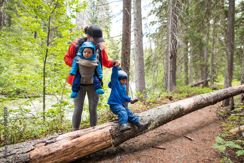 Mother hikes through the forest with her two childern. photo