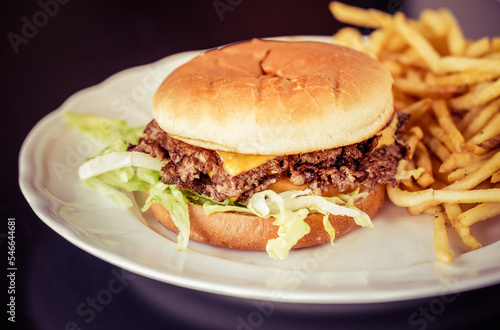 Hamburger and French Fries on a white plate