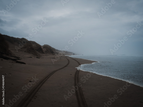 Tracks on beach