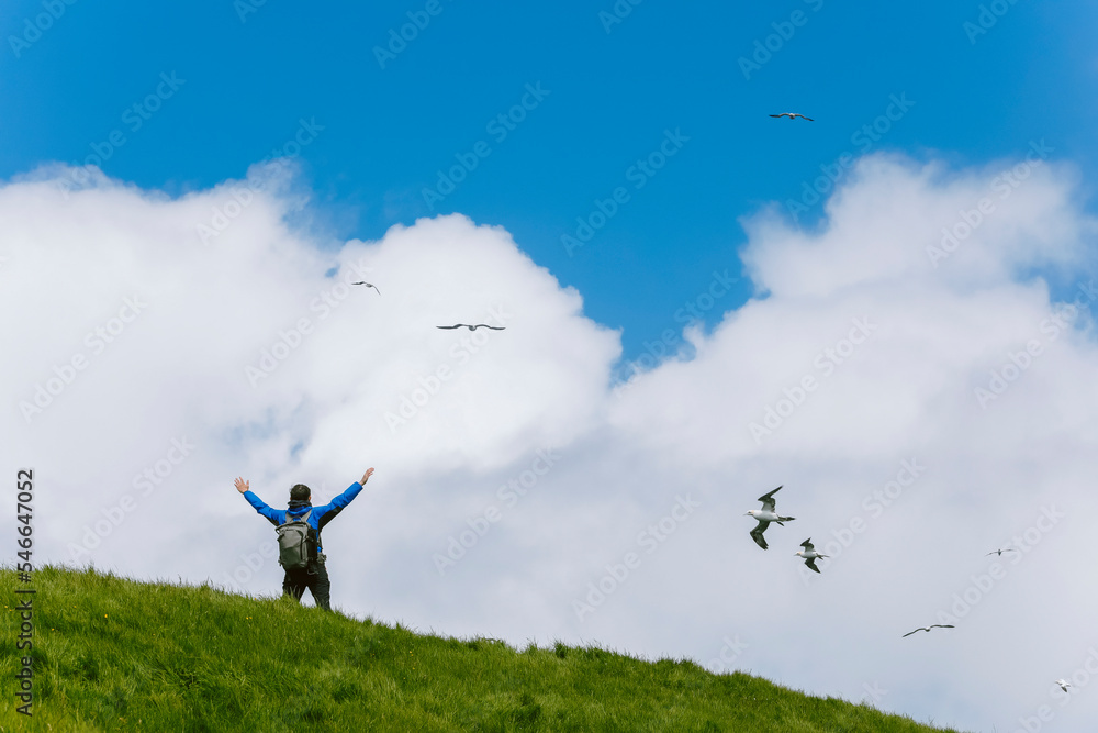 Hiker with arms raised and flying seagulls, Mykines, Faroe Islands