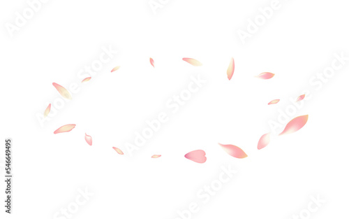 Pastel Flower Petal Vector White Background. Pink