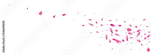 White Peach Petal Vector White Background. Pink
