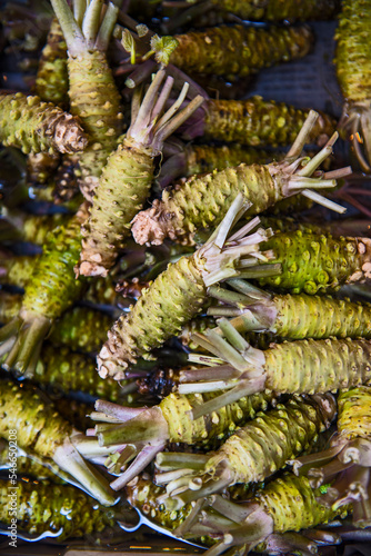 Wasabi roots