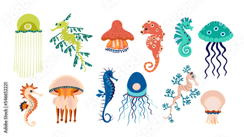 Set of colorful jellyfish and seahorses icons. Pretty different silhouette of sea animals on white background. For card, logo, kids pattern, tattoo, decorative concept. Cartoon vector illustration