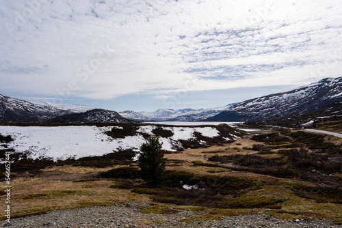 Wallpaper Mural norway mountain top with dry yellow grass and in some places there is white snow on the mountains above which there is a blue sky with white clouds Torontodigital.ca