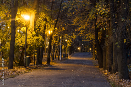 autumn in the park, Herastrau Park, Bucharest City, Romania 